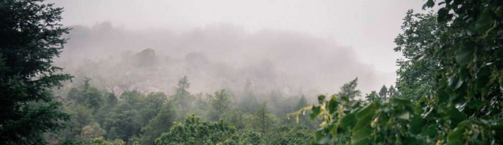 France Couelle Psychotherapy and Counselling