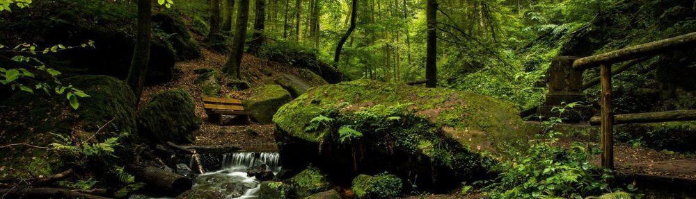 France Couelle Psychotherapy and Counselling